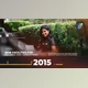 Download Company History Corporate Timeline Apple Motion (Videohive 33425488)