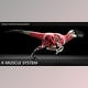 Blender - Download X-Muscle System v4.9.7