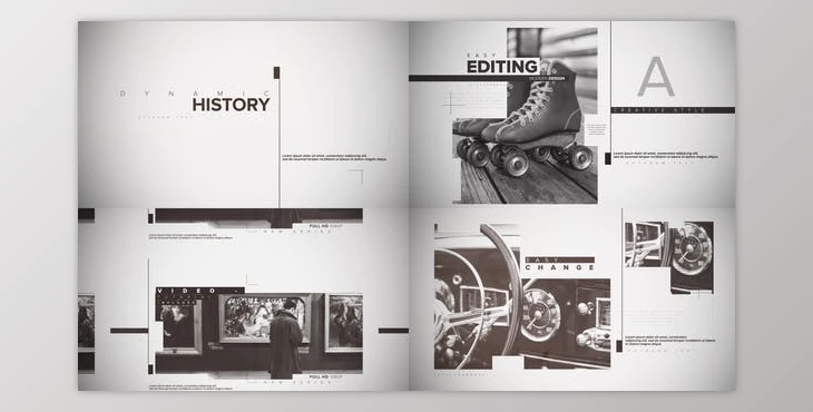 Download Dynamic History (Videohive 38020610) - PR Project