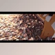 Download Crypto Bulldozer (Videohive 39161422) - AE Project