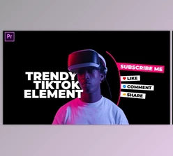 Download Trendy TikTok Elements (Videohive 38775710) - PR Project