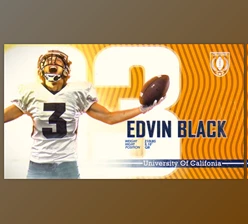 Download Sport Player Introducing // Player Profile // Personal Highlight (Videohive 34940857) - AE Project