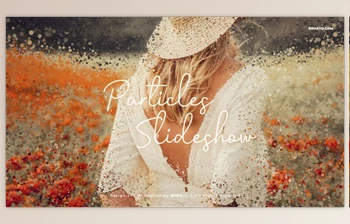 Download Particles <span class='badge badge-warning'>Slideshow</span> (<span class='badge badge-warning'>Videohive</span> 38595990) - AE Project