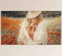 Download Particles Slideshow (Videohive 38595990) - AE Project