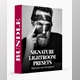 Download Thorsten von Overgaard – Signature Lightroom Presets
