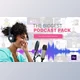 Download Podcast Audio Visualization (Videohive 26809278) - AE Project