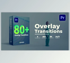 Download Transitions (Videohive 39538036) - PR Project