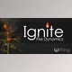 Download Blender Market – Ignite – Fire Dynamics v1.00