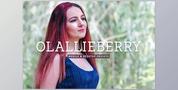 Download Olallieberry Pro Lightroom Presets (XMP) CreativeMarket - 7473585