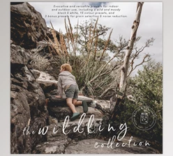 Download Memory Catchers – The Wildling Collection