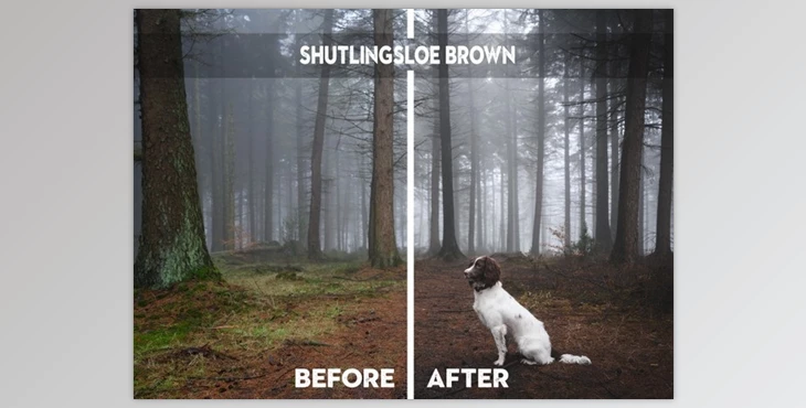 Download Nigel Danson Lightroom Presets