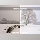 Download Nigel Danson Lightroom Presets