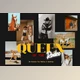 Download Queen Of The RODEO | Cowgirls Preset CreativeMarket - 7170060