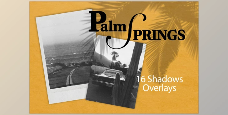 Download PALM SPRING | SHADOW OVERLAYS CreativeMarket - 7807140