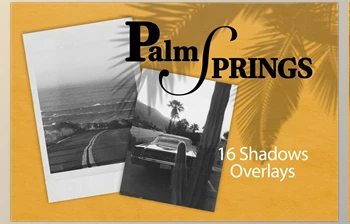 Download PALM SPRING | <span class='badge badge-warning'>SHADOW</span> <span class='badge badge-warning'>OVERLAYS</span> CreativeMarket - 7807140