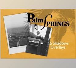 Download PALM SPRING | SHADOW OVERLAYS CreativeMarket - 7807140