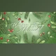 Download Wedding Invitation (Videohive 35462572) - AE Project