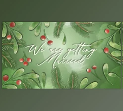 Download Wedding Invitation (Videohive 35462572) - AE Project
