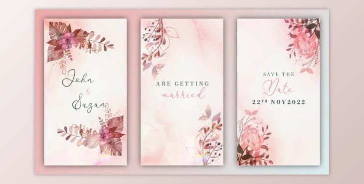 Download Wedding Invitation Instagram Story (Videohive 39391753) - AE Project