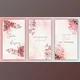 Download Wedding Invitation Instagram Story (Videohive 39391753) - AE Project