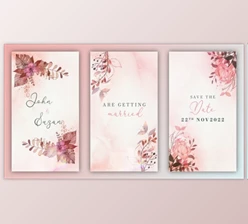 Download Wedding Invitation Instagram Story (Videohive 39391753) - AE Project