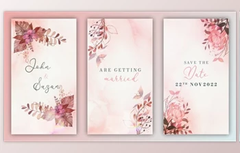 Download <span class='badge badge-warning'>Wedding</span> Invitation Instagram Story (<span class='badge badge-warning'>Videohive</span> 39391753) - AE <span class='badge badge-warning'>Project</span>