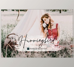 Download HummingBird Lightroom Presets Pack CreativeMarket - 5469110