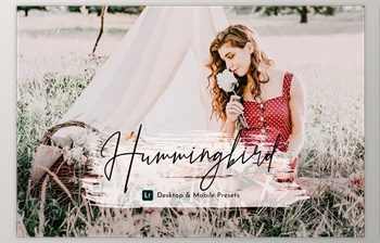 Download HummingBird <span class='badge badge-warning'>Lightroom</span> Presets Pack <span class='badge badge-warning'>CreativeMarket</span> - 5469110