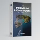Download Chris Hau – V4 LR PRESET PACK