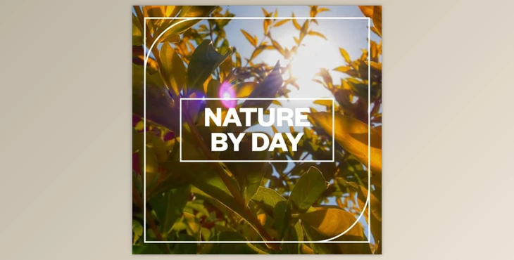 Download Blastwave FX Nature by Day WAV-FANTASTiC