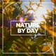 Download Blastwave FX Nature by Day WAV-FANTASTiC