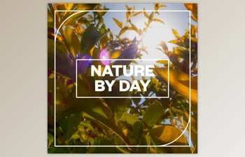 Download <span class='badge badge-warning'>Blastwave</span> <span class='badge badge-warning'>FX</span> Nature by Day <span class='badge badge-warning'>WAV</span>-FANTASTiC