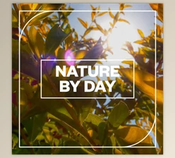 Download Blastwave FX Nature by Day WAV-FANTASTiC