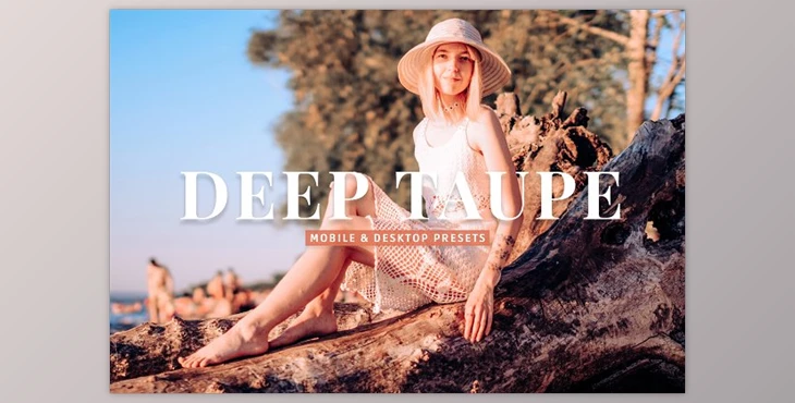 Download Deep Taupe Pro Lightroom Presets CreativeMarket - 10243236