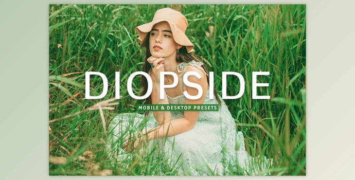 Download Diopside Pro Lightroom Presets CreativeMarket - 10243238
