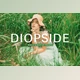 Download Diopside Pro Lightroom Presets CreativeMarket - 10243238