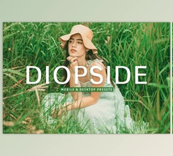 Download Diopside Pro Lightroom Presets CreativeMarket - 10243238