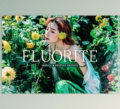Download Fluorite Pro Lightroom Presets CreativeMarket - 10243239