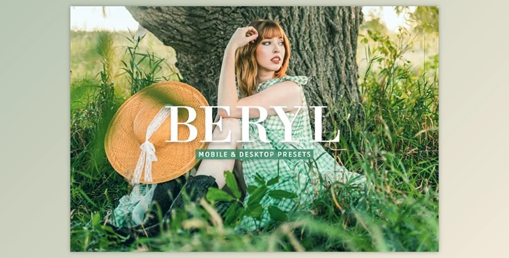 Download Beryl Pro Lightroom Presets CreativeMarket - 10243234