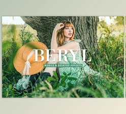 Download Beryl Pro Lightroom Presets CreativeMarket - 10243234