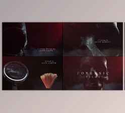 Download Forensic Files I Title Sequence (Videohive 40058755) - AE Project