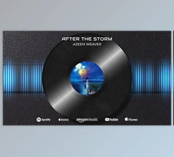 Download Vinyl Record Music Visualizer (Videohive 40072672) - AE Project