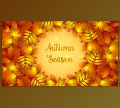 Download Autumn Opener (Videohive 40002277) - AE Project