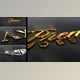 Download Gold-Silver-Color And Light (Videohive 40081852) - AE Project