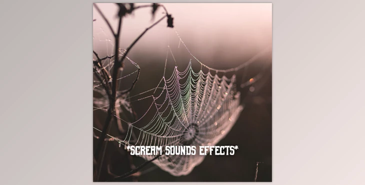 Download HQ Special FX Scream Sounds Effects FLAC-DjYOPMiX