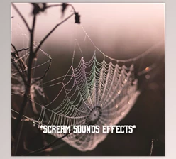 Download HQ Special FX Scream Sounds Effects FLAC-DjYOPMiX