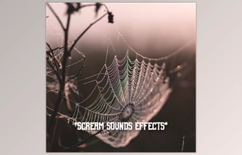 Download HQ Special FX Scream Sounds <span class='badge badge-warning'>Effects</span> FLAC-DjYOPMiX