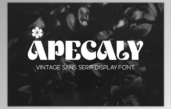 Download Apecaly - Vintage <span class='badge badge-warning'>Font</span> CreativeMarket 7446979