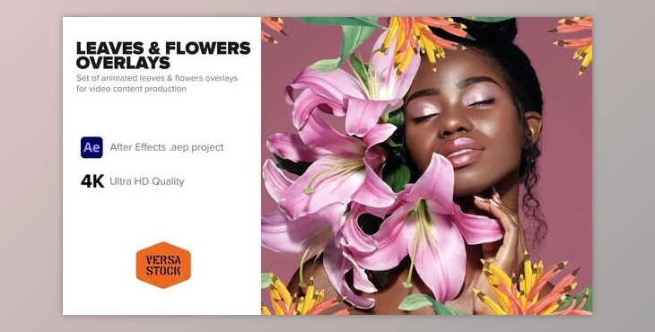 Download Leaves & Flowers Overlays (Videohive 40203359) - AE Project