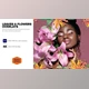 Download Leaves & Flowers Overlays (Videohive 40203359) - AE Project